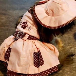 Doggie Brown/Pink Southern Belle Dress Outfit